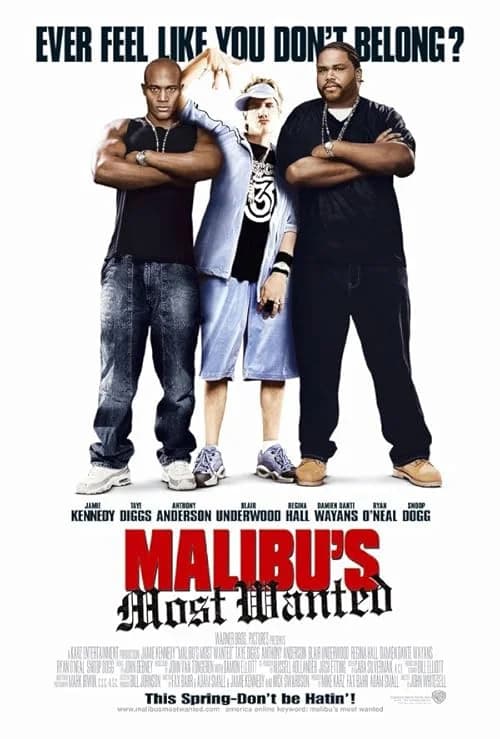 Malibu's Most Wanted film posteri